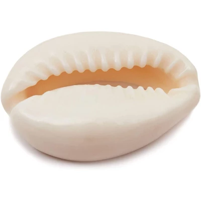 Juvale Cowrie Sea Shells For Jewelry Making, DIY Crafts (150 Count) 2 Juvale Cowrie Sea Shells For Jewelry Making, DIY Crafts (150 Count) - Image 2