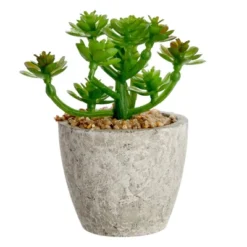 6 Pack Artificial Succulents, 2.7 To 4 Inches Green And Red Cactus Plants With Gray Pots -Juvale GUEST 0220e648 6ce5 4ffd 8da6 92ff95010f28