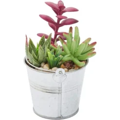 Juvale 4 Pack Artificial Succulents Plants, Faux Fake Cactus With Iron Bucket For Garden & Patio Decor, 6.5 In -Juvale GUEST 0d0bc3db af74 41e3 b87b 7872eb8d407c