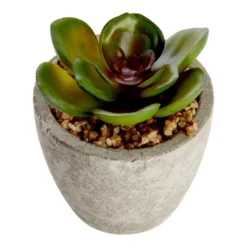 6 Pack Artificial Succulents, 2.7 To 4 Inches Green And Red Cactus Plants With Gray Pots -Juvale GUEST 10a562cb 2b4f 4318 80ab f4c1028801ea