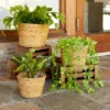 Juvale 3 Piece Seagrass Planter Pots Set With Plastic Lining, 3 Woven Baskets For Indoor & Outdoor Plants, 3 Sizes