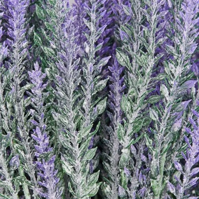 Juvale 12 Bundles Artificial Lavender Flowers For Bouquets, Fake Wild Stems For Wedding, Faux Table Centerpieces (14x2x3 In) 4 Juvale 12 Bundles Artificial Lavender Flowers For Bouquets, Fake Wild Stems For Wedding, Faux Table Centerpieces (14x2x3 In) - Image 4