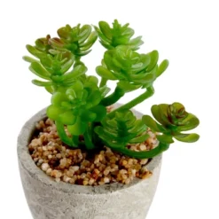 6 Pack Artificial Succulents, 2.7 To 4 Inches Green And Red Cactus Plants With Gray Pots -Juvale GUEST 2dfacf1a e850 4931 9380 487fa7258c08