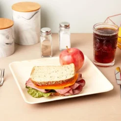 Juvale 24 Pack Square Areca Palm Leaf Plates, Party Dinnerware, Disposable Paper Plates (10 In)