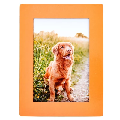 Juvale 15-Pack 4x6 Magnetic Picture Frames For Refrigerator, Locker, Office, Kitchen Cabinet, Classroom, Holds 4x6 Photos, 5 Colorful Borders 3 Juvale 15-Pack 4x6 Magnetic Picture Frames For Refrigerator, Locker, Office, Kitchen Cabinet, Classroom, Holds 4x6 Photos, 5 Colorful Borders - Image 3