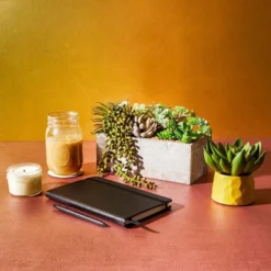 Juvale Artificial Mixed Succulent Faux Fake Cactus Plants In Rectangular Wooden Planter Box 9 X 4 In.