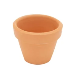 Juvale 10-Pack 1.5-Inch Mini Terracotta Plants Pots With Holes For Cactus, Succulents, Tiny Clay Flower Pot Planters For Nursery, Indoor Garden -Juvale GUEST 55c75497 b2f6 4c74 a15d f190a40e4d13
