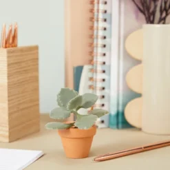 Juvale 10-Pack 1.5-Inch Mini Terracotta Plants Pots With Holes For Cactus, Succulents, Tiny Clay Flower Pot Planters For Nursery, Indoor Garden -Juvale GUEST 5980100a 67a2 4221 8f37 44d3c87b0e78