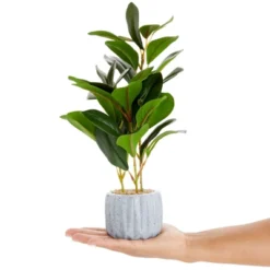 Juvale Artificial Plants In Pot, Fake Faux Plants With Gray Cement Planter, 3.1 X 3.1 X 11.8 In -Juvale GUEST 5d77aae5 d173 4b53 abba f2a49f11b2aa