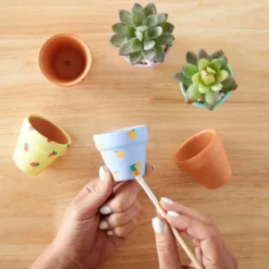 Juvale 10-Pack 2-Inch Mini Terracotta Pots With Drainage Holes For Succulents, Plants, Herbs, And Flowers, Small Clay Pot Planters -Juvale GUEST 5fbd589f 1125 41d7 a4c4 fe95307912a1