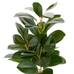 Juvale Artificial Plants In Pot, Fake Faux Plants With Gray Cement Planter, 3.1 X 3.1 X 11.8 In -Juvale GUEST 5fd852a2 c66e 4b8d 9414 f494a177fb70