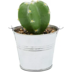 Juvale 4 Pack Artificial Succulents Planter, 4.7 "to 6.5" Green Fake Cactus Plants With Iron Bucket 6 Juvale 4 Pack Artificial Succulents Planter, 4.7 "to 6.5" Green Fake Cactus Plants With Iron Bucket -Juvale GUEST 61c360e5 ba81 418a 936f ed386d556f7a