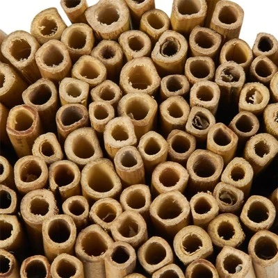 Juvale 100 Pack Wood Bamboo Sticks For Crafts, DIY Bee Houses, Jewelry, Projects (5.2 In) 4 Juvale 100 Pack Wood Bamboo Sticks For Crafts, DIY Bee Houses, Jewelry, Projects (5.2 In) - Image 4