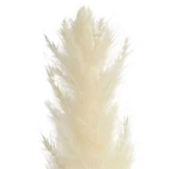 Juvale 30 Pack Dried White Pampas Grass For Vase, Wedding, Rustic-Style Farmhouse Decor, Boho-Themed Home Decor, 17 In -Juvale GUEST 69582c3a 7b6a 446a bae2 59055350d271