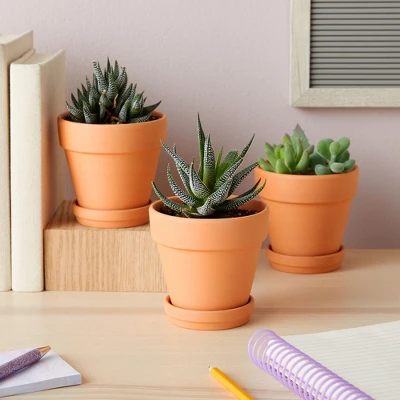 Juvale 6-Pack Small Terra Cotta Pots With Sauce And Drainage Hole, 4 Inch Terracotta Pot For Succulents, Flowers, Cactus, Garden, Indoor And Outdoor 3 Juvale 6-Pack Small Terra Cotta Pots With Sauce And Drainage Hole, 4 Inch Terracotta Pot For Succulents, Flowers, Cactus, Garden, Indoor And Outdoor - Image 3