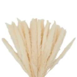Juvale 30 Pack Dried White Pampas Grass For Vase, Wedding, Rustic-Style Farmhouse Decor, Boho-Themed Home Decor, 17 In -Juvale GUEST 7079560a 01f3 455d 9b9e a623a5bda908