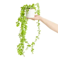 Juvale 2 Pack Hanging Artificial Faux Eucalyptus, Fake Plants With Ceramic Pots For Spring Home Decor, House Warming Gift, 31 In -Juvale GUEST 75fc3f0c a741 412e 8ac4 c6020be941b7