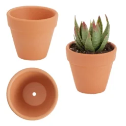 Juvale 10-Pack 2-Inch Mini Terracotta Pots With Drainage Holes For Succulents, Plants, Herbs, And Flowers, Small Clay Pot Planters -Juvale GUEST 7781f536 2324 4886 8485 5e0810914e6e