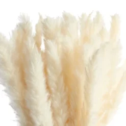 Juvale 30 Pack Dried White Pampas Grass For Vase, Wedding, Rustic-Style Farmhouse Decor, Boho-Themed Home Decor, 17 In -Juvale GUEST 7798a23e bf91 4400 ad81 59c69813a7ee