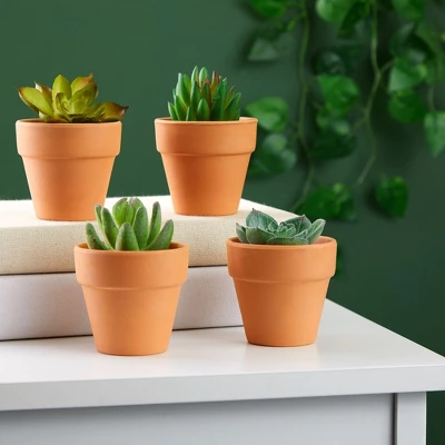 Juvale 2.5 Inch Small Terracotta Pots, Terra Cotta Decor With Drainage Hole, Paintable Pottery Clay Planter For Succulents, Flower Garden 1 Juvale 2.5 Inch Small Terracotta Pots, Terra Cotta Decor With Drainage Hole, Paintable Pottery Clay Planter For Succulents, Flower Garden