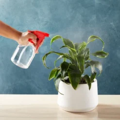 Juvale 6 Pack Empty Plastic Spray Bottles, All-Purpose Clear Refillable Red Spray Bottles For Cleaning Solutions, Dog Training, Hair, Plants (16 Oz) 10 Juvale 6 Pack Empty Plastic Spray Bottles, All-Purpose Clear Refillable Red Spray Bottles For Cleaning Solutions, Dog Training, Hair, Plants (16 Oz) -Juvale GUEST 8273b813 abc6 41ed 8017 7b460ccdddce