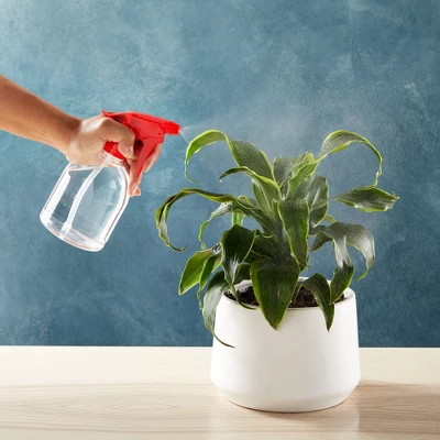 Juvale 6 Pack Empty Plastic Spray Bottles, All-Purpose Clear Refillable Red Spray Bottles For Cleaning Solutions, Dog Training, Hair, Plants (16 Oz) 3 Juvale 6 Pack Empty Plastic Spray Bottles, All-Purpose Clear Refillable Red Spray Bottles For Cleaning Solutions, Dog Training, Hair, Plants (16 Oz) - Image 3