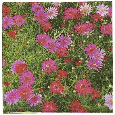 Juvale 100 Pack Pink Daisy Floral Disposable Luncheon Paper Napkins 6.5" For Birthday Summer Party Decorations 6 Juvale 100 Pack Pink Daisy Floral Disposable Luncheon Paper Napkins 6.5" For Birthday Summer Party Decorations - Image 6