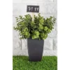 Juvale 24 Pack Plant Marker, Wood Garden Stakes With Chalkboard, Herb Marker Signs, Labels, Tags For Field, Potted Flower