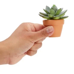 Juvale 10-Pack 1.5-Inch Mini Terracotta Plants Pots With Holes For Cactus, Succulents, Tiny Clay Flower Pot Planters For Nursery, Indoor Garden -Juvale GUEST 9f48e6f5 07d8 4ca1 976b 269905657252