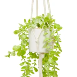 Juvale 2 Pack Hanging Artificial Faux Eucalyptus, Fake Plants With Ceramic Pots For Spring Home Decor, House Warming Gift, 31 In -Juvale GUEST aa7af7e9 c228 4793 8e2a 7a302a40d918