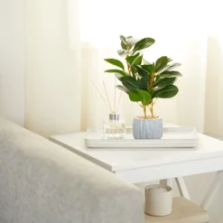 Juvale Artificial Plants In Pot, Fake Faux Plants With Gray Cement Planter, 3.1 X 3.1 X 11.8 In