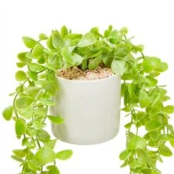 Juvale 2 Pack Hanging Artificial Faux Eucalyptus, Fake Plants With Ceramic Pots For Spring Home Decor, House Warming Gift, 31 In -Juvale GUEST be1ed7ba 59d4 4b79 9f62 89c76815a123