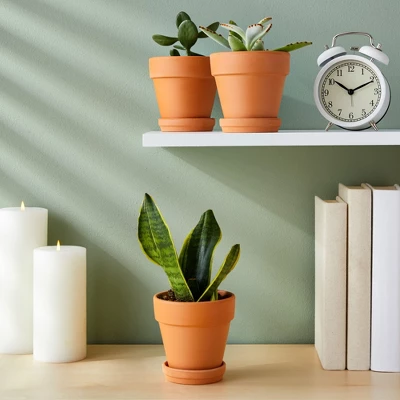 Juvale 6-Pack Small Terra Cotta Pots With Sauce And Drainage Hole, 4 Inch Terracotta Pot For Succulents, Flowers, Cactus, Garden, Indoor And Outdoor 2 Juvale 6-Pack Small Terra Cotta Pots With Sauce And Drainage Hole, 4 Inch Terracotta Pot For Succulents, Flowers, Cactus, Garden, Indoor And Outdoor - Image 2