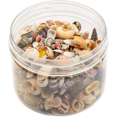 Juvale Tiny Craft Spiral Seashells For DIY Crafts, Home Decor (0.4-1 Inches, 180 Grams) 3 Juvale Tiny Craft Spiral Seashells For DIY Crafts, Home Decor (0.4-1 Inches, 180 Grams) - Image 3