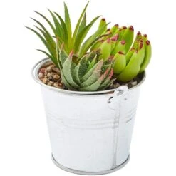 Juvale 4 Pack Artificial Succulents Plants, Faux Fake Cactus With Iron Bucket For Garden & Patio Decor, 6.5 In -Juvale GUEST f598d0ca d348 4b3e b8a5 52e1ced36205